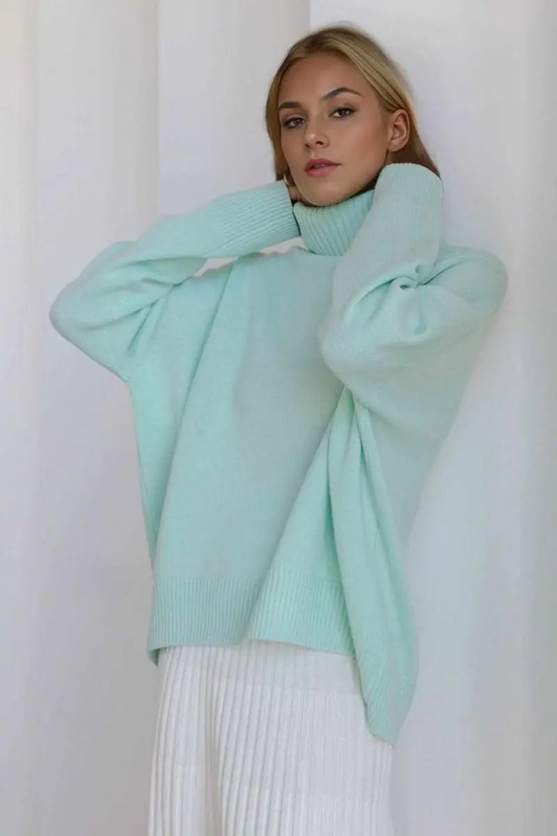 Basic Bae Turtleneck Dropped Shoulder Long Sleeve Sweater - Love Salve